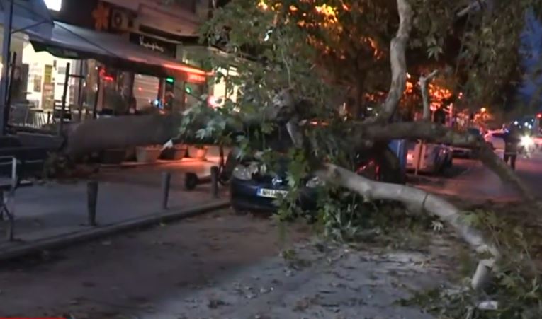 Θεσσαλονίκη: Δέντρο έπεσε πάνω σε ΙΧ σε κεντρικό δρόμο