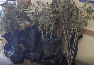 Πειραιάς: Εντοπίστηκε πλήρως εξοπλισμένο εργαστήριο καλλιέργειας κάνναβης  [εικόνες]