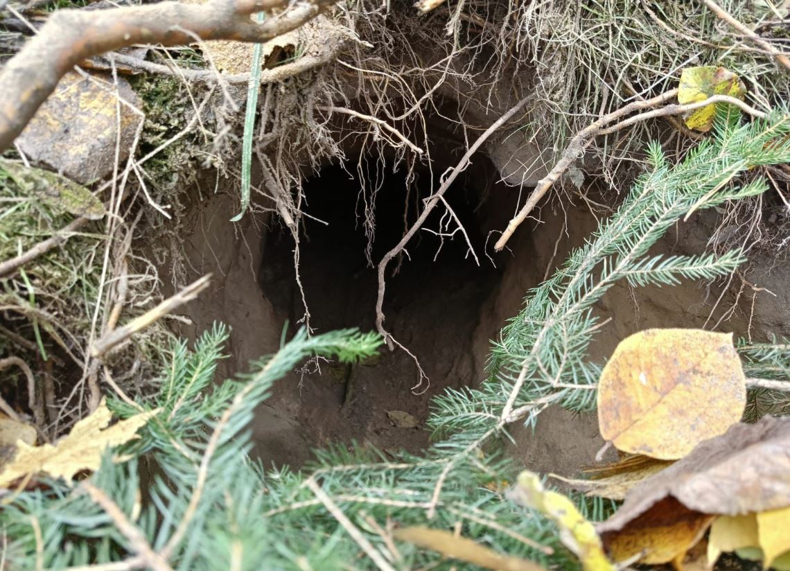 Πολωνία – Λευκορωσία: Ανακάλυψαν υπόγειο τούνελ που συνδέει δύο ευρωπαϊκές χώρες