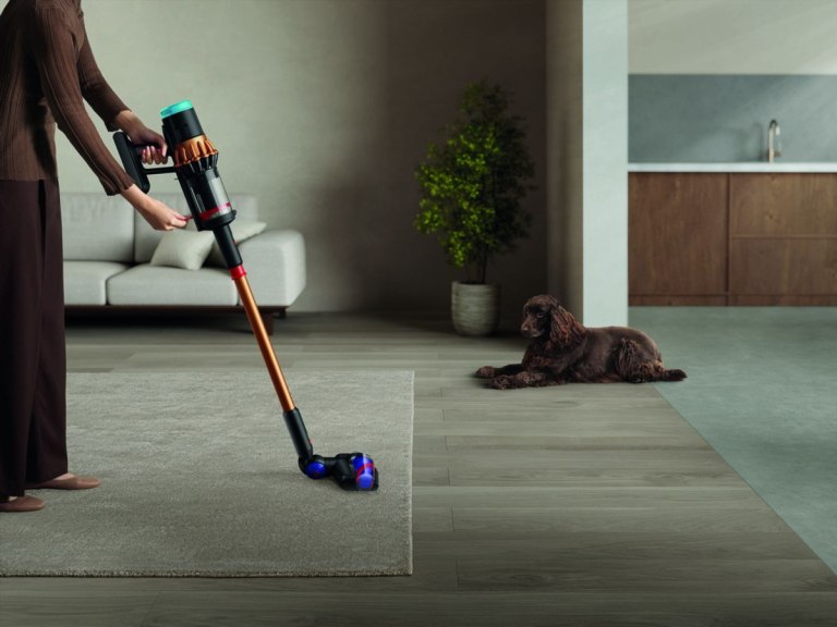 Αγαπάς τα ζώα αλλά δεν μπορείς την τρίχα; Σου έχω την καλύτερη λύση