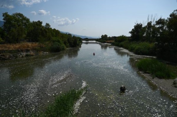 Την προστασία των ενισχύσεων για τις επιχειρήσεις που επλήγησαν στον Παγασητικό ζητάει η Περιφέρεια Θεσσαλίας