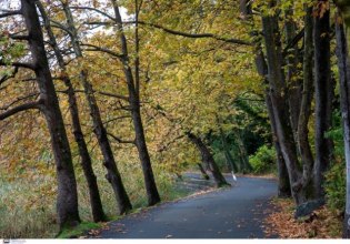 Δράσεις περιβαλλοντικού ισοζυγίου συνολικού προϋπολογισμού 2.3 εκατομμυρίων Ευρώ