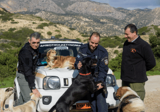 Η Δημοτική Αστυνομία που διασώζει ζώα και «παλεύει» για την ευζωία τους