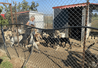 Οι εθελόντριες που φροντίζουν 100 σκυλάκια και 25 γατούλες – Τις στηρίζουμε