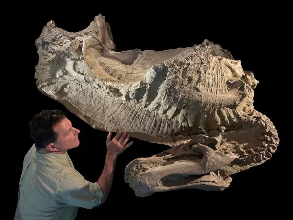 Μοναδικά απολιθώματα αποκαλύπτουν ότι κάποιοι δεινόσαυροι είχαν οπλές