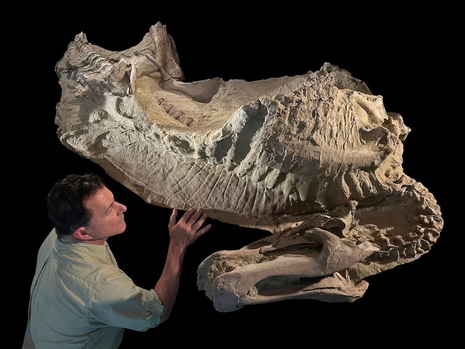 Μοναδικά απολιθώματα αποκαλύπτουν ότι κάποιοι δεινόσαυροι είχαν οπλές