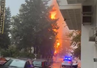 Κακοκαιρία: Δέντρο χτυπήθηκε από κεραυνό και λαμπάδιασε στη Ναύπακτο [βίντεο]