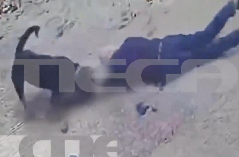 Σκύλος επιτέθηκε άγρια σε άνδρα στη Μεσσηνία – Αστυνομικός σκότωσε το ζώο – Σκληρές εικόνες