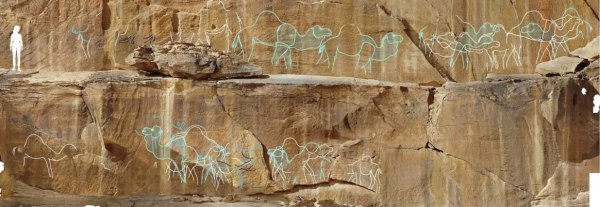 «Οι δημιουργοί ρίσκαραν τη ζωή τους»: Βραχογραφίες ζώων σε φυσικό μέγεθος ξαναγράφουν την προϊστορία της Αραβικής Ερήμου