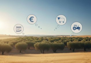 Ποιος ευθύνεται για την ακρίβεια; Ως και 200%  πάνω οι τιμές από το χωράφι στο ράφι