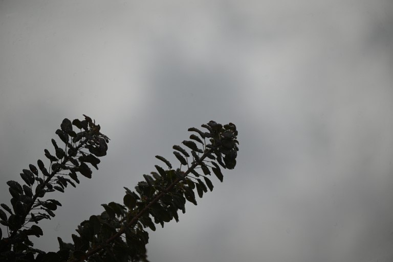 Άστατος ο καιρός την Παρασκευή – Τοπικές βροχές και στην Αττική