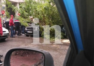 Δέντρο έπεσε και τραυμάτισε άνδρα στο κέντρο της Αθήνας