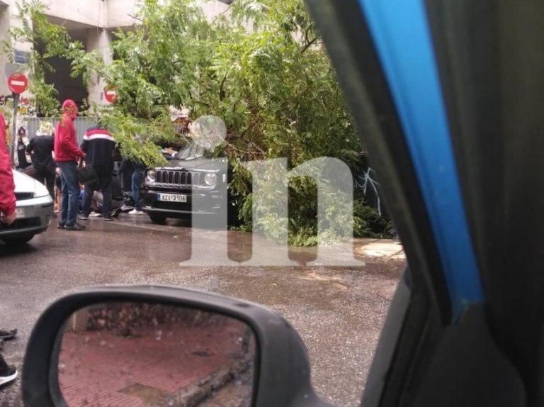 Δέντρο έπεσε και τραυμάτισε άνδρα στο κέντρο της Αθήνας