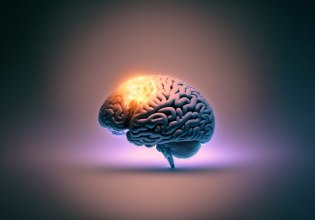 Νέος μηχανισμός επικοινωνίας ανακαλύφθηκε στους νευρώνες του εγκεφάλου