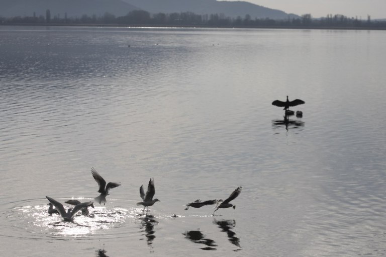 Καιρός: Συννεφιά με τοπικές βροχές σε αρκετές περιοχές – Πού θα έχει καταιγίδες