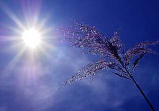 Κλιματική αλλαγή – Copernicus: Ο Σεπτέμβριος του 2025 ο τρίτος πιο θερμός στην ιστορία