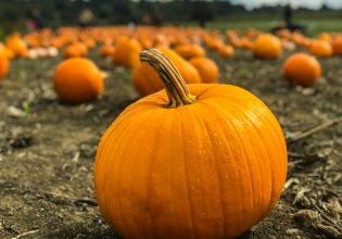 Δύο πορτοκαλί superfoods «ασπίδα» για τον οργανισμό