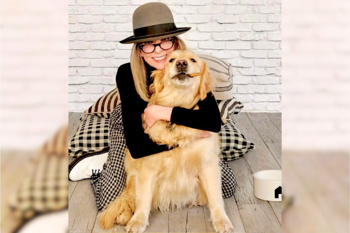 Νταϊάν Κίτον: Άφησε 5 εκατομμύρια στην αγαπημένη της σκύλα — «Ήταν η αληθινή της συντροφιά»