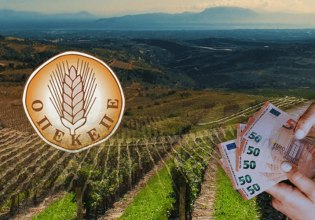 ΟΠΕΚΕΠΕ: Στη Θεσσαλονίκη κρατούνται οι 34 από τους 37 συλληφθέντες για τις παράνομες επιδοτήσεις