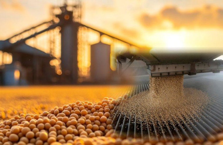 Μάχη χαρακωμάτων Κίνας – ΗΠΑ για την …τιμή της σόγιας