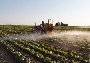 Τι πρέπει να γνωρίζετε για τα χημικά που συνδέονται με νόσο του Πάρκινσον