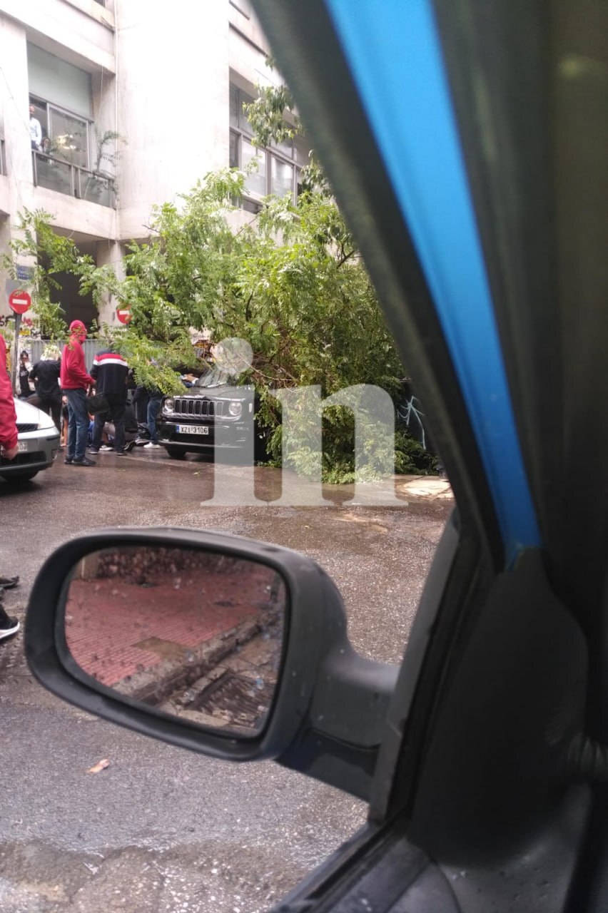 εικόνα που δείχνει κόσμο να έχει μαζευτεί γύρω από τον τραυματισμένο άνδρα μετά την πτώση του δέντρου