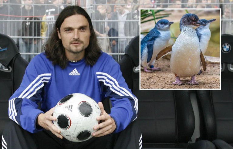 Αντίπαλος της ΑΕΚ προσέλαβε άνδρα που «πέθανε», έκλεψε πιγκουίνο και φυλακίστηκε στη Σιγκαπούρη! (pics)