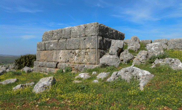 Η ελληνική γλώσσα στο διάβα του χρόνου: Το ειδικό λεξιλόγιο της δημοκρατίας (Μέρος ΣΤ’)