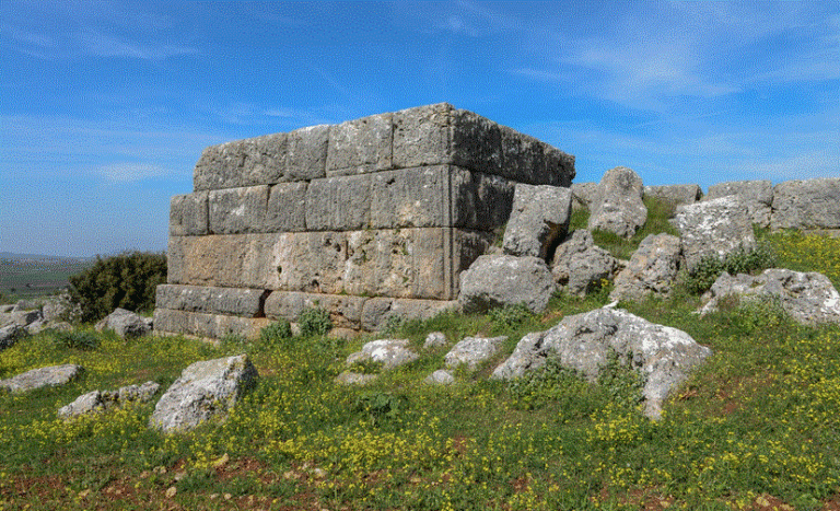 Η ελληνική γλώσσα στο διάβα του χρόνου: Το ειδικό λεξιλόγιο της δημοκρατίας (Μέρος ΣΤ’)