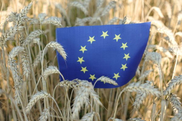 Οργανωμένη εγκληματική ομάδα. λέει η Ευρωπαϊκή Εισαγγελία για τις 37 συλλήψεις για τον ΟΠΕΚΕΠΕ – Πώς δρούσε