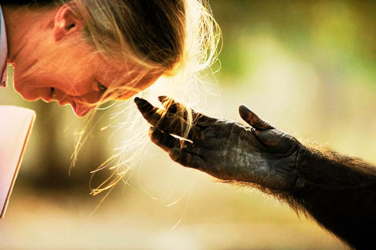 «Η ελπίδα είναι δράση»: Η σπουδαία Τζέιν Γκούντολ με δικά της λόγια