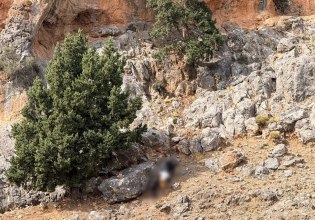 Συνελήφθη ο γαμπρός του Φανούρη Καργάκη στα Βορίζια – Καραμπίνα και φυσίγγια βρέθηκαν σε σπηλιά