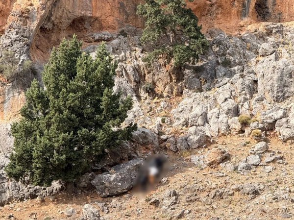 Συνελήφθη ο γαμπρός του Φανούρη Καργάκη στα Βορίζια – Καραμπίνα και φυσίγγια βρέθηκαν σε σπηλιά