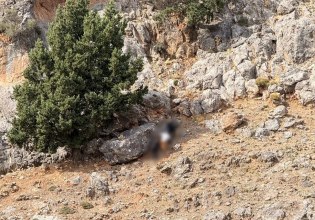 Βορίζια: Άφαντα τα όπλα παρά τις δεκάδες έρευνες σε σπίτια και στάνες – 9 συλλήψεις και 17 προσαγωγές μέχρι τώρα