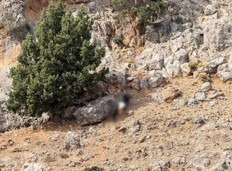 Βορίζια: Άφαντα τα όπλα παρά τις δεκάδες έρευνες σε σπίτια και στάνες – 9 συλλήψεις και 17 προσαγωγές μέχρι τώρα