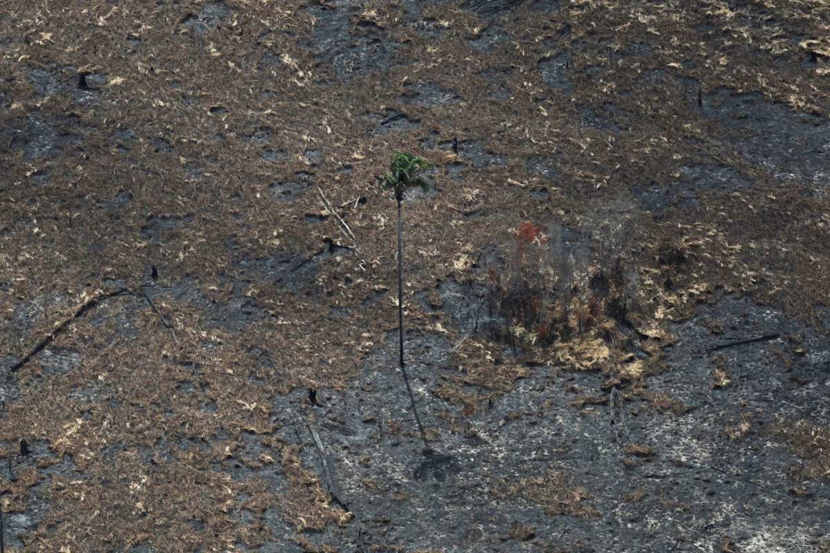 Πτώση της Ελλάδας στον δείκτη κλιματικής πολιτικής – Πού οφείλεται η «μεσαία επίδοση» της χώρας