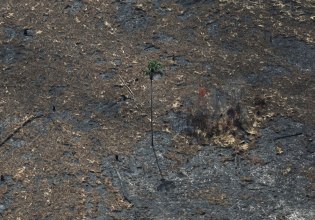 Πτώση της Ελλάδας στον δείκτη κλιματικής πολιτικής – Πού οφείλεται η «μεσαία επίδοση» της χώρας