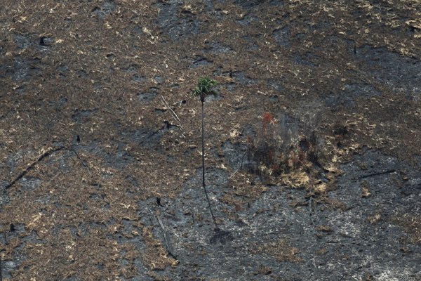 Πτώση της Ελλάδας στον δείκτη κλιματικής πολιτικής – Πού οφείλεται η «μεσαία επίδοση» της χώρας