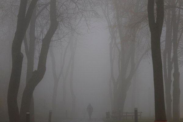 Σχέδιο Τραμπ για την Ουκρανία: «Βάση για συνομιλίες, που θέλει δουλειά», λένε ΕΕ, Καναδάς και Ιαπωνία