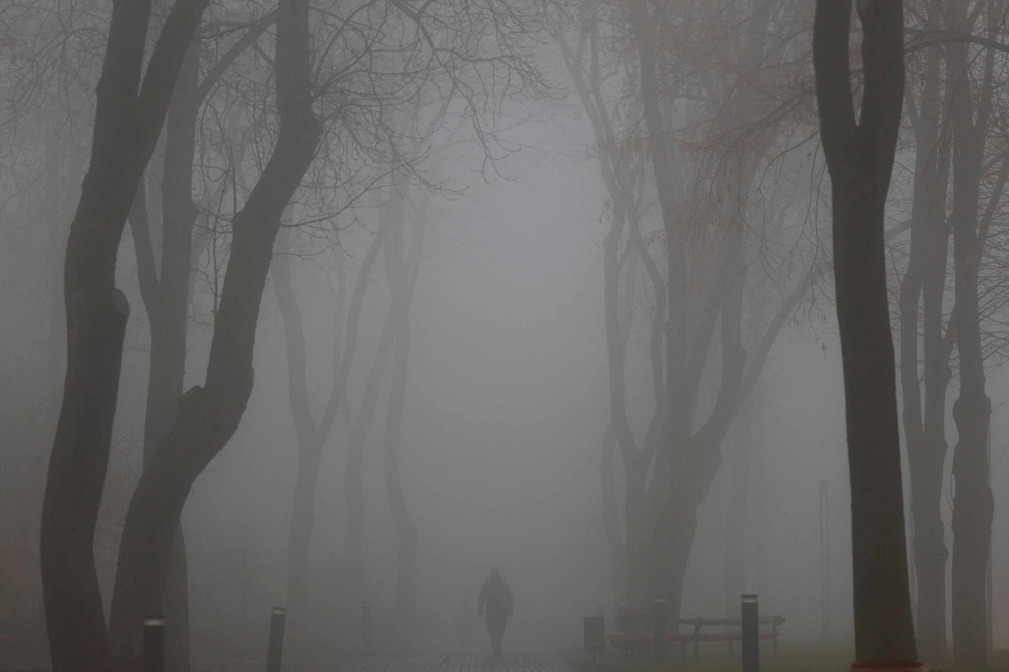 Σχέδιο Τραμπ για την Ουκρανία: «Βάση για συνομιλίες, που θέλει δουλειά», λένε ΕΕ, Καναδάς και Ιαπωνία