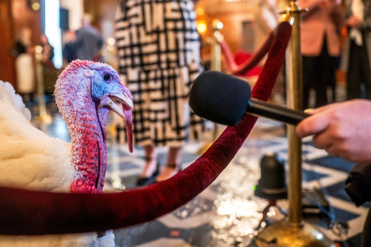 Thanksgiving: Αντζελίνα Τζολί και άλλοι σταρ το μποϊκοτάρουν. Γιατί; – «Συγκάλυψη γενοκτονίας, ματωμένη γιορτή» 