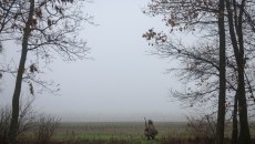 Η Μολδαβία κατήγγειλε ότι ρωσικά drone παραβίασαν τον εναέριο χώρο της – «Εχθρικές ενέργειες εκφοβισμού»