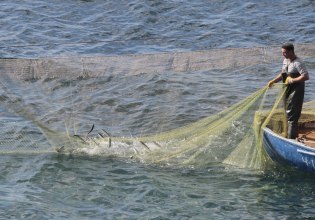 Η υπεραλίευση στη Μεσόγειο περιορίστηκε αλλά οι απειλές παραμένουν
