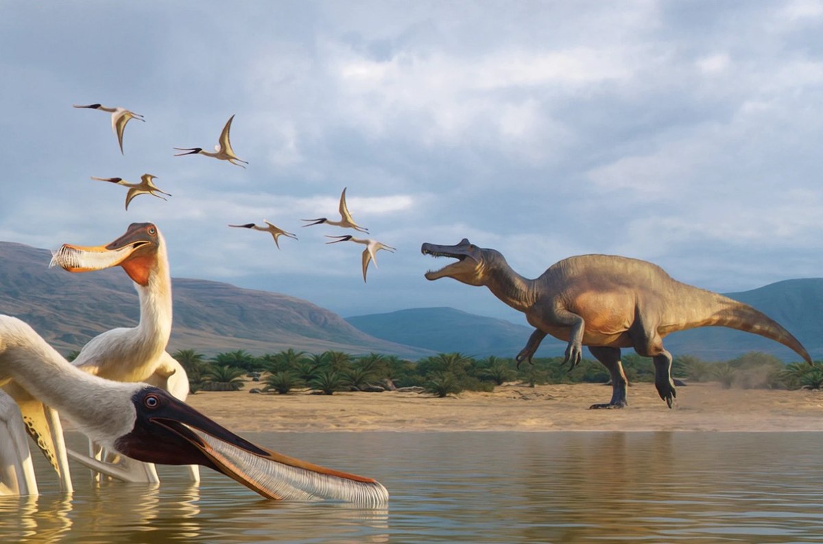 Καλλιτεχνική απεικόνιση πτερόσαυρων Barikibu waridza. Στο φόντο ο σπινόσαυρος που μπορεί να τους έφαγε ( Julio Lacerda)