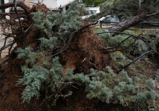 Καιρός: Πτώσεις δέντρων από την κακοκαιρία, ζημιές σε Ι.Χ. – Περιοχές με τα μεγαλύτερα προβλήματα