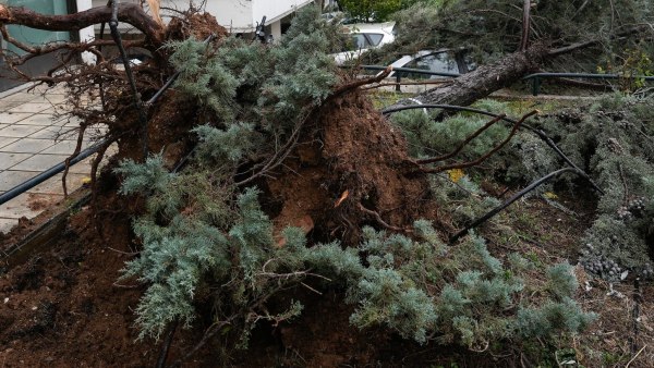 Καιρός: Πτώσεις δέντρων από την κακοκαιρία, ζημιές σε Ι.Χ. – Περιοχές με τα μεγαλύτερα προβλήματα
