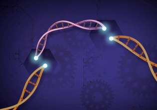 Πειραματική θεραπεία CRISPR υπόσχεται μόνιμη μείωση της χοληστερόλης με μια δόση