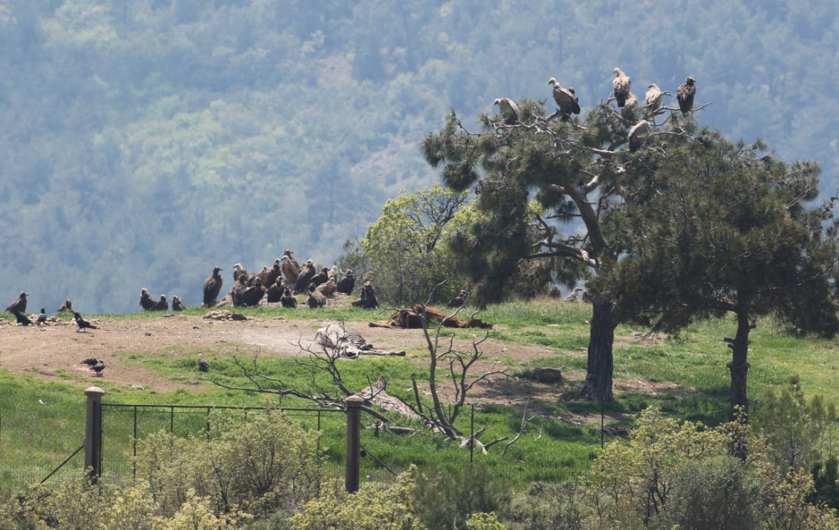 Στο μικροσκόπιο ΕΕ, ΕΔΕΛ και Ελεγκτικού Συνεδρίου το πρόγραμμα Antinero – «Χάνονται» 30 εκατ. ευρώ από το Ταμείο Ανάκαμψης