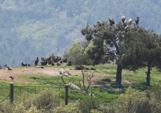 Στο μικροσκόπιο ΕΕ, ΕΔΕΛ και Ελεγκτικού Συνεδρίου το πρόγραμμα Antinero – «Χάνονται» 30 εκατ. ευρώ από το Ταμείο Ανάκαμψης