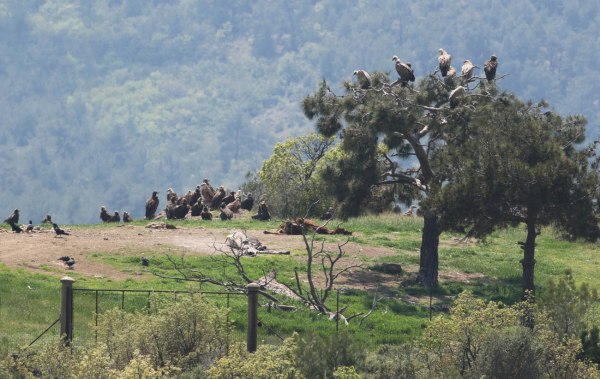 Στο μικροσκόπιο ΕΕ, ΕΔΕΛ και Ελεγκτικού Συνεδρίου το πρόγραμμα Antinero – «Χάνονται» 30 εκατ. ευρώ από το Ταμείο Ανάκαμψης